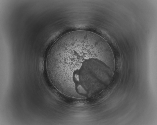 X0000112910495200908311240