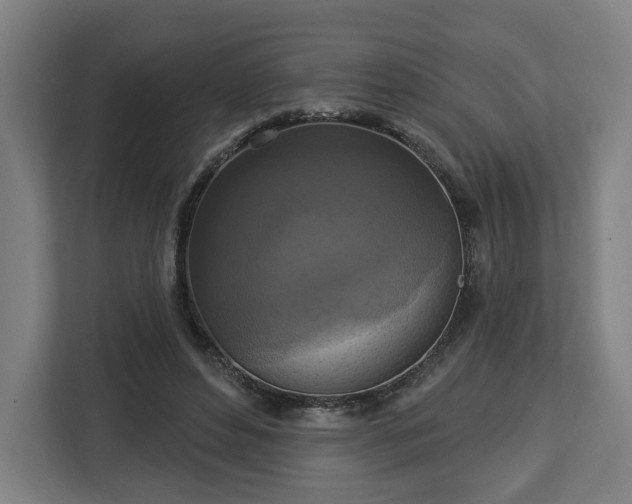 X0000112910496200908311240