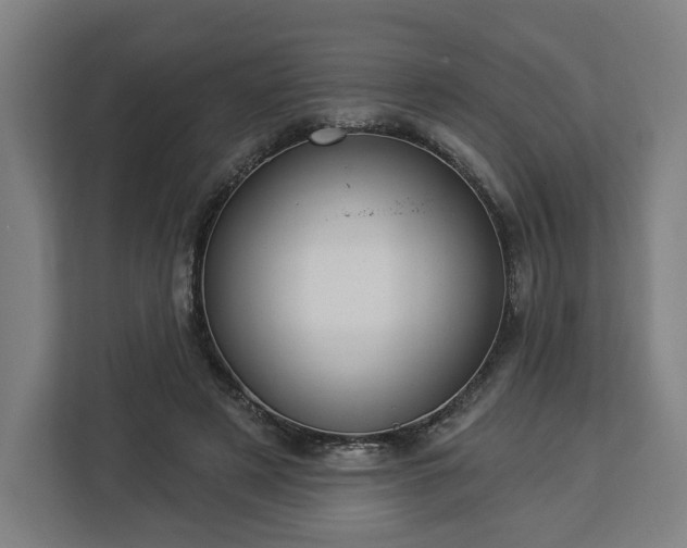 X0000112910497200908311240