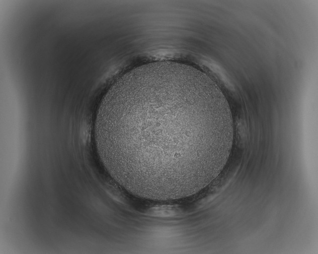 X0000112910499200908311240