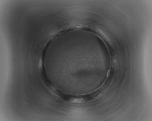 X0000112910500200908311240