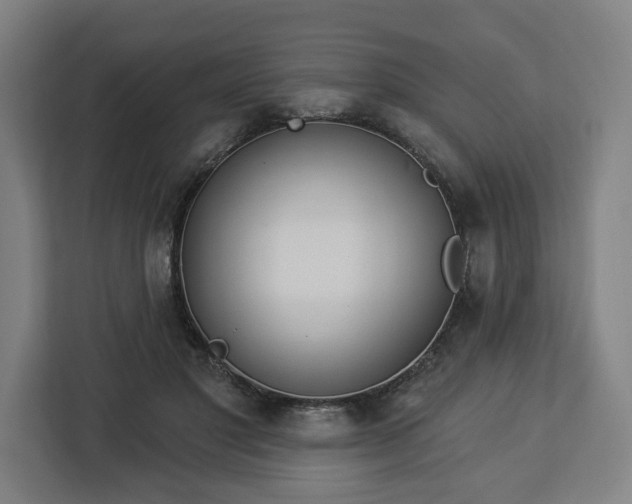 X0000112910501200908311240