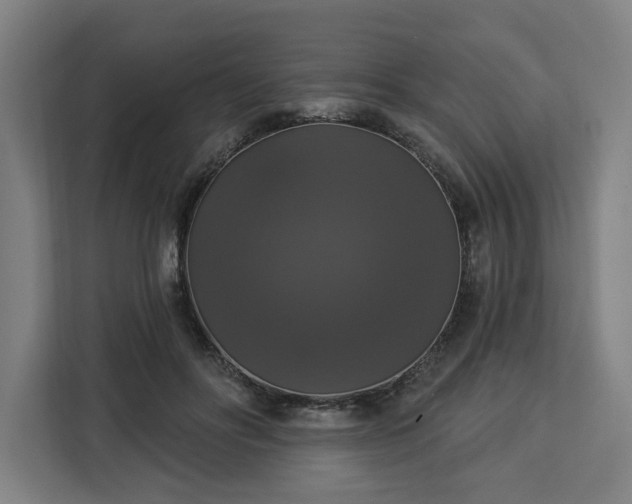 X0000112910502200908311240