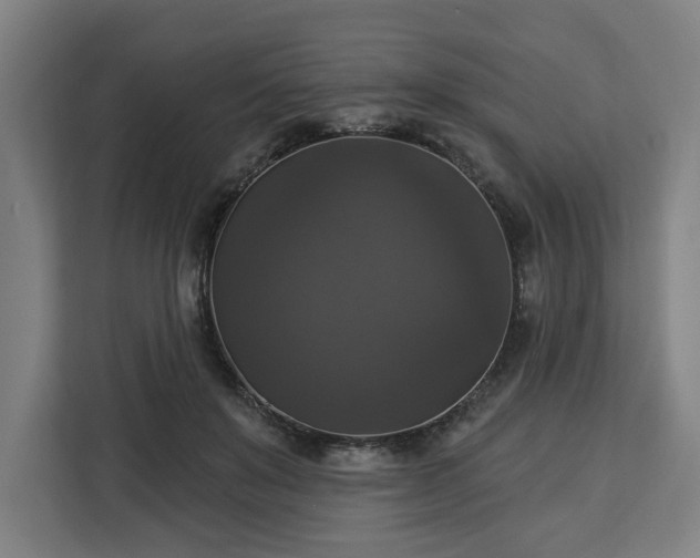 X0000112910503200908311240