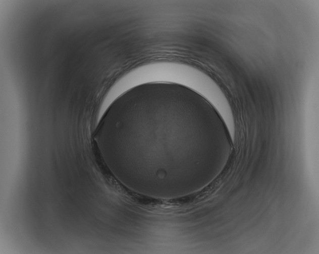 X0000112910504200908311240