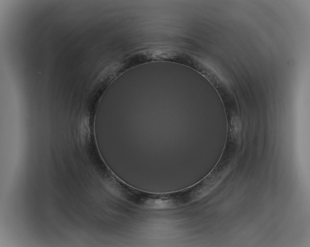 X0000112910506200908311240