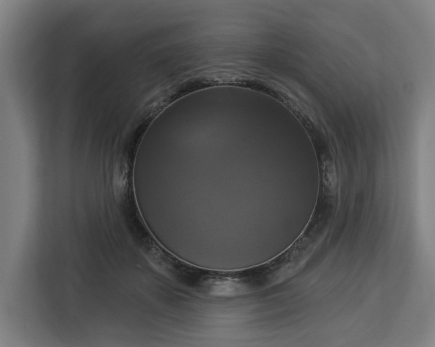 X0000112910507200908311240