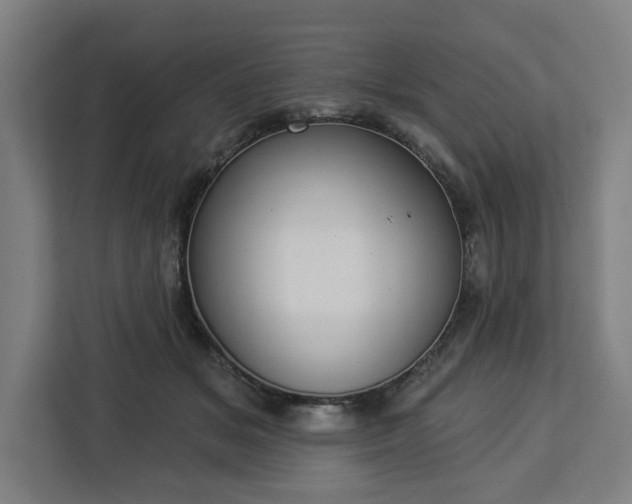 X0000112910509200908311240