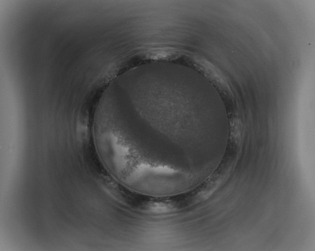 X0000112910510200908311240