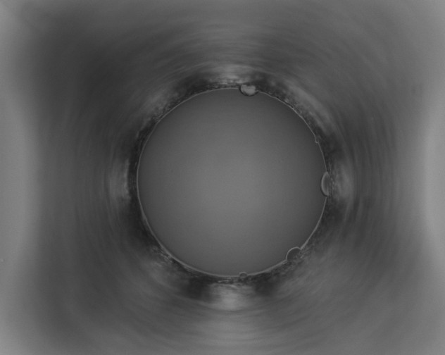 X0000112910512200908311240