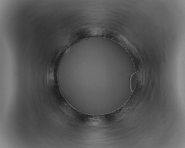 X0000112910516200908311240