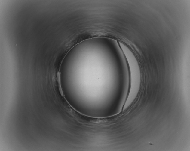 X0000112910517200908311240