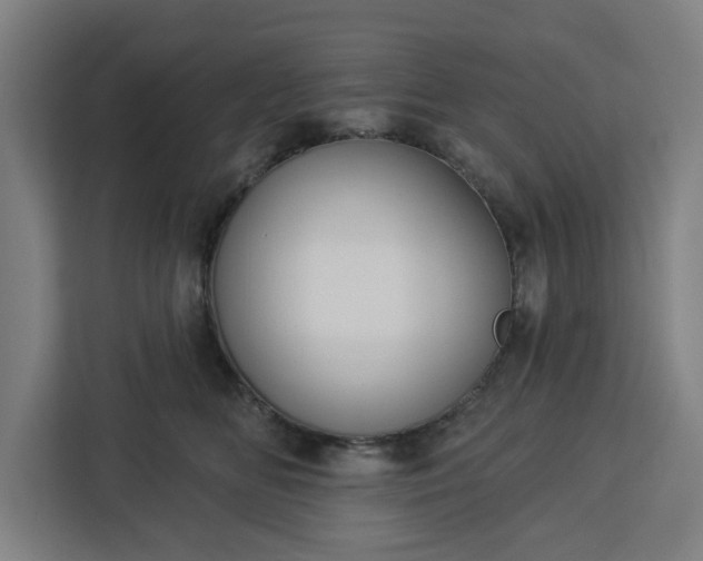 X0000112910518200908311240