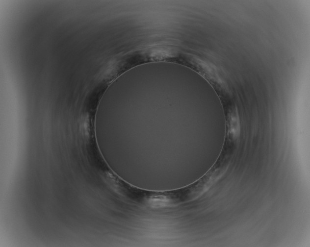 X0000112910519200908311240