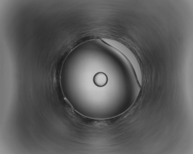 X0000112910520200908311240