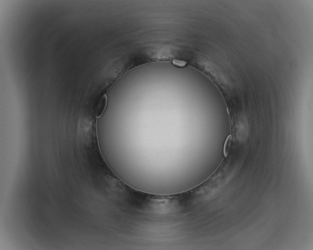 X0000112910521200908311240