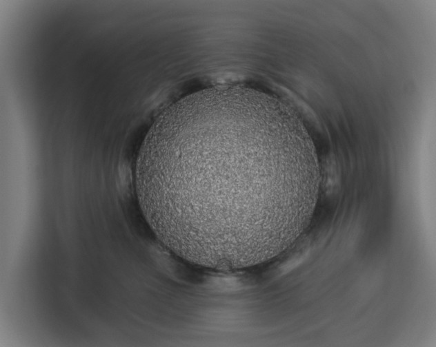 X0000112910523200908311240