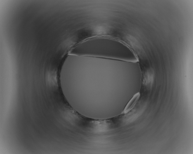 X0000112910524200908311239