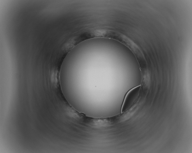 X0000112910525200908311239