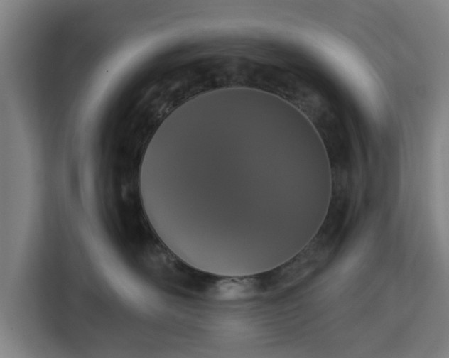 X0000112910526200908311239