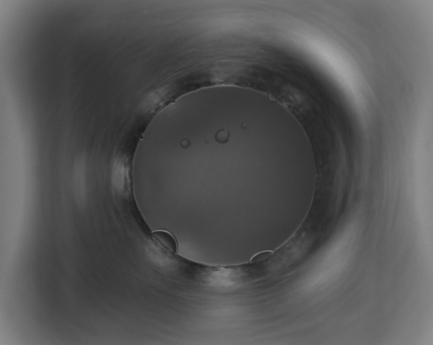 X0000112910527200908311239