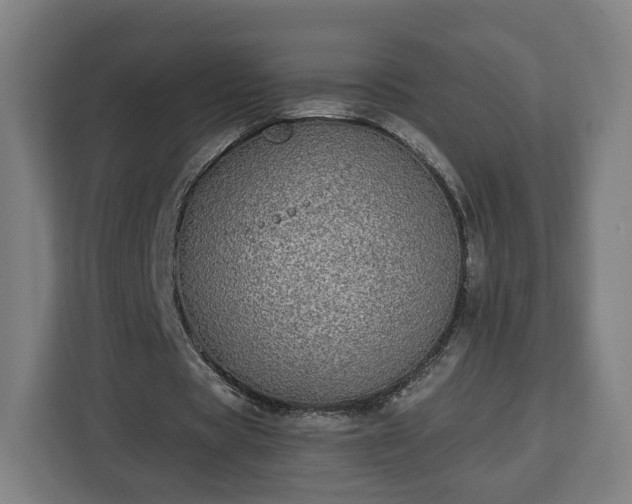 X0000112910529200908311239