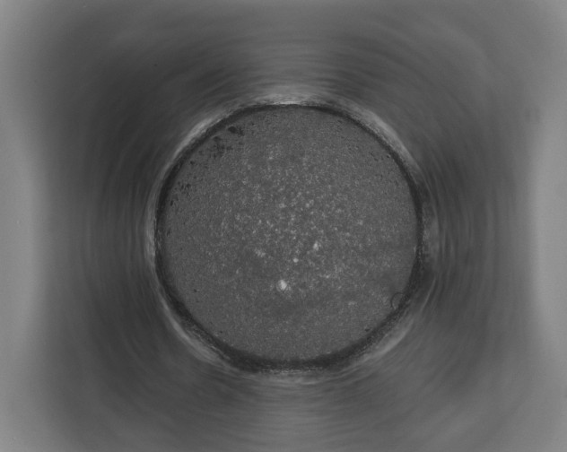 X0000112910530200908311239