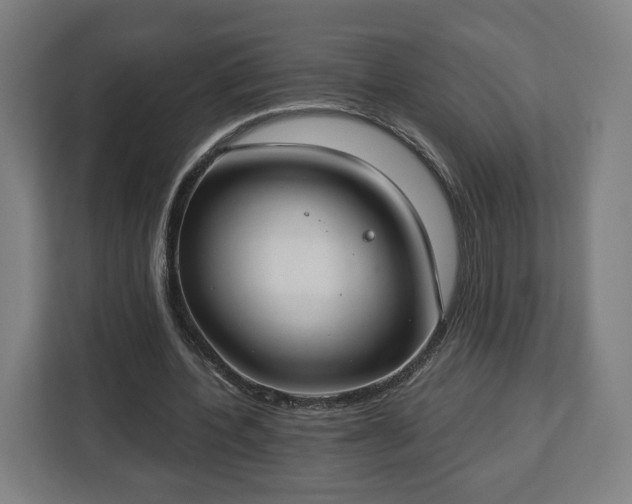 X0000112910532200908311239