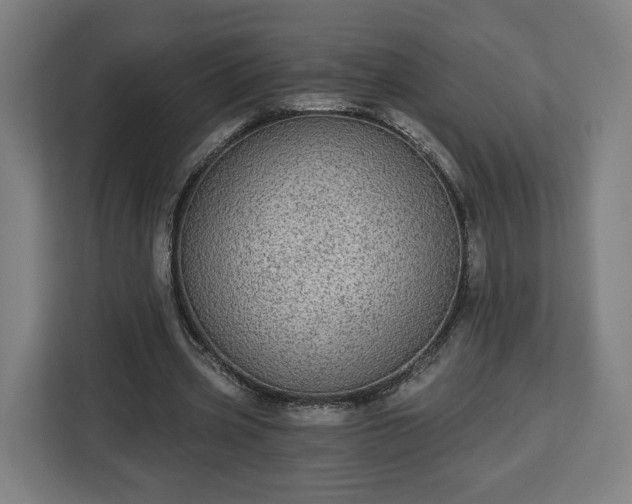 X0000112910533200908311239