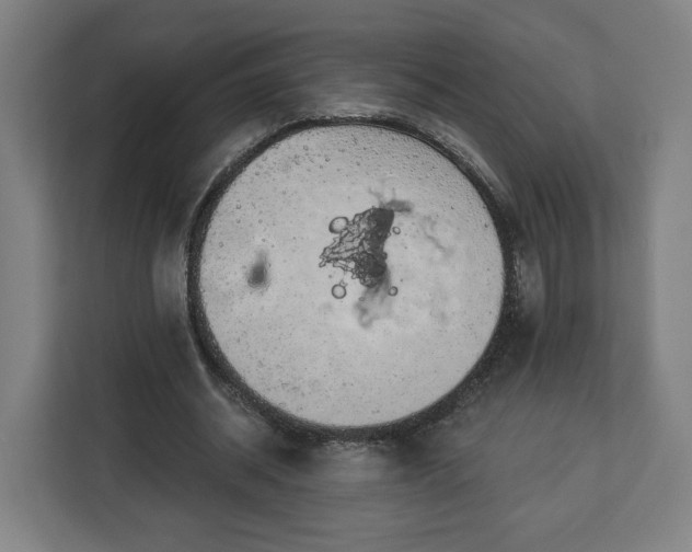 X0000112910534200908311239