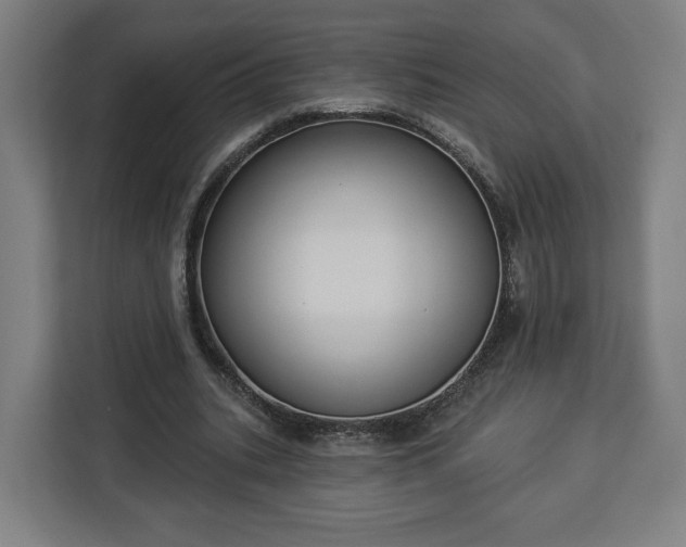 X0000112910535200908311239