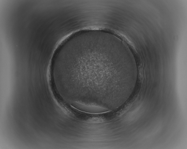 X0000112910536200908311239