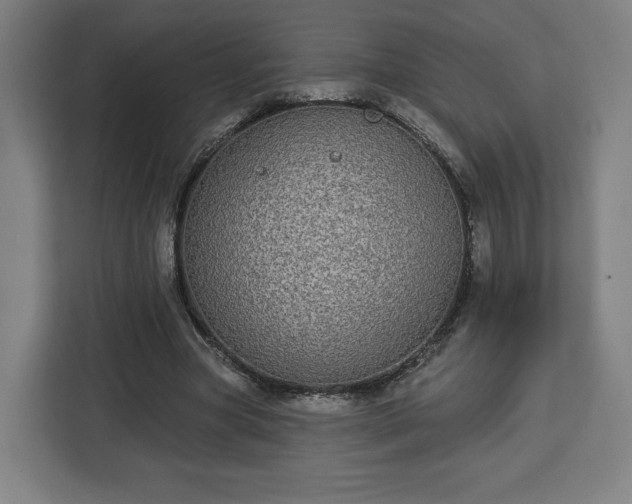 X0000112910537200908311239