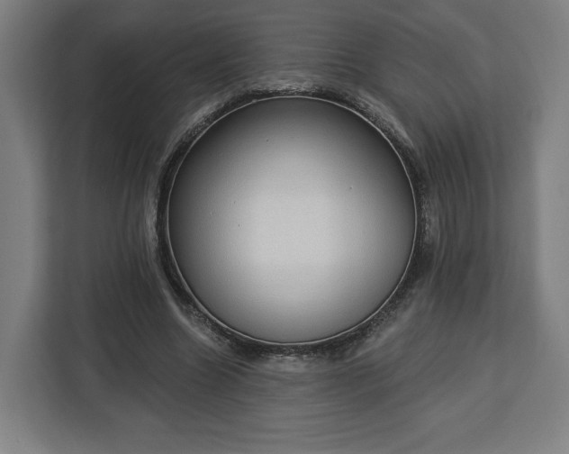 X0000112910538200908311239