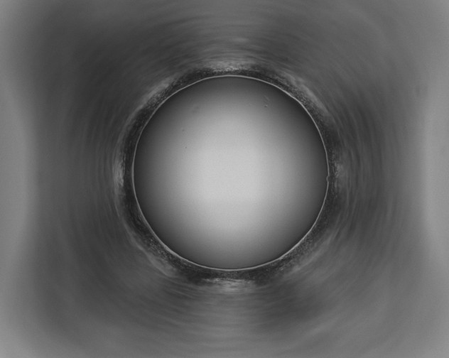 X0000112910539200908311239