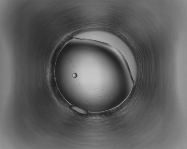 X0000112910540200908311239