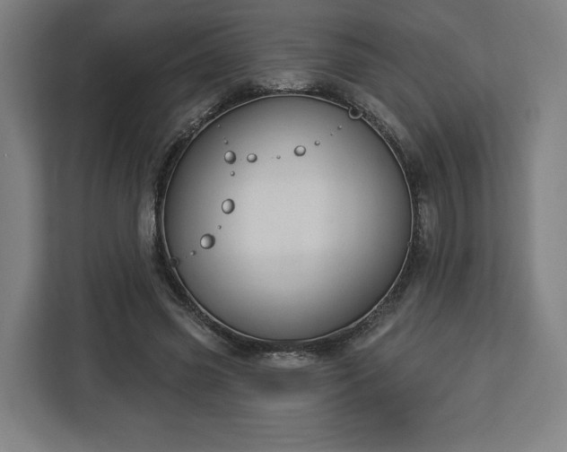 X0000112910541200908311239