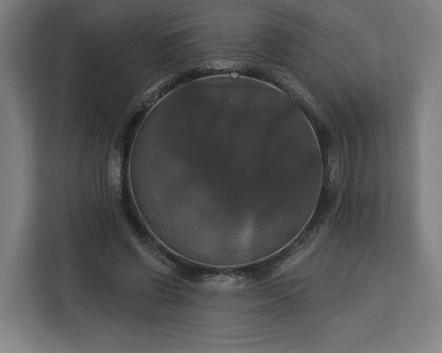 X0000112910542200908311239