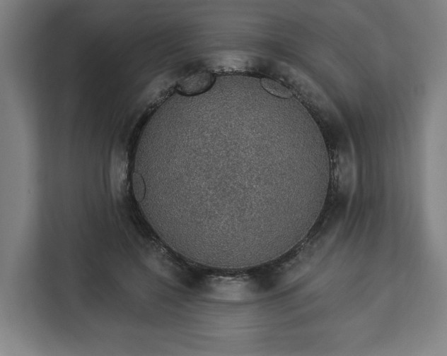 X0000112910548200908311239