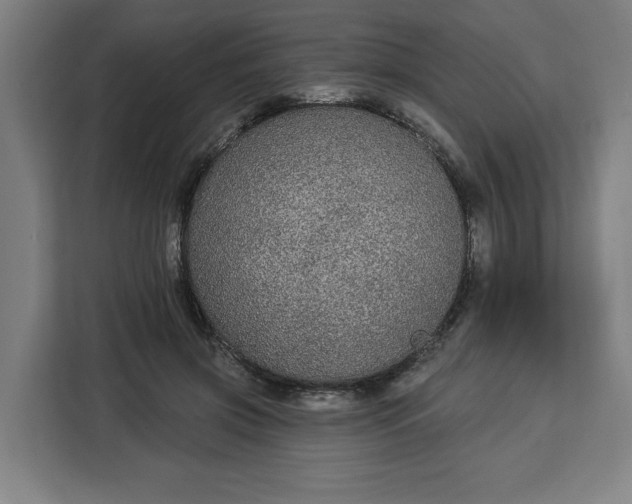 X0000112910549200908311239