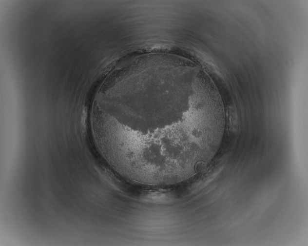 X0000112910550200908311239