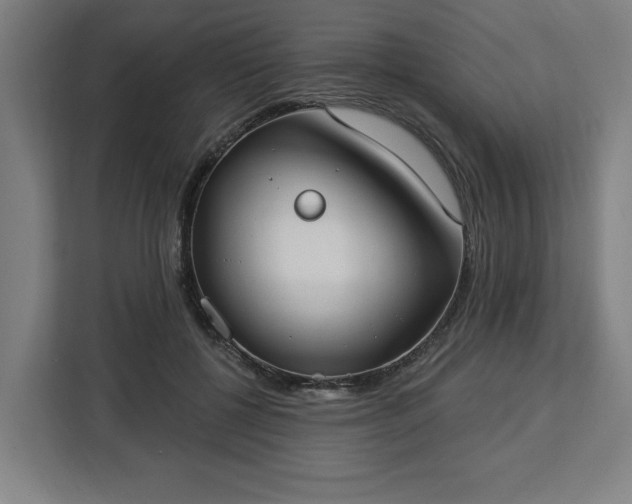 X0000112910552200908311239