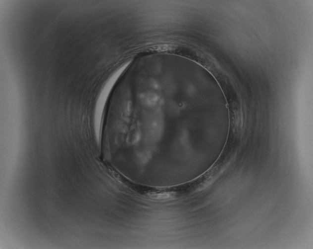 X0000112910553200908311239