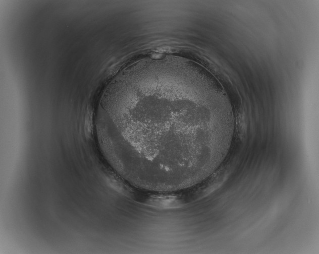 X0000112910554200908311239