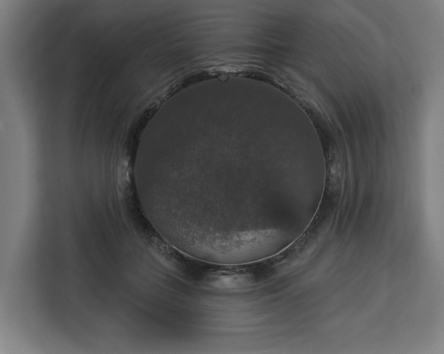 X0000112910555200908311239