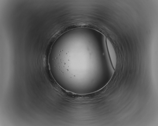 X0000112910556200908311239