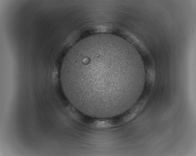 X0000112910557200908311239