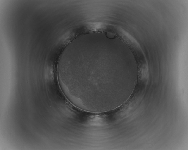 X0000112910558200908311239