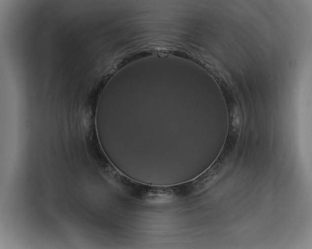 X0000112910559200908311239