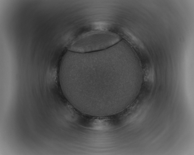 X0000112910560200908311239